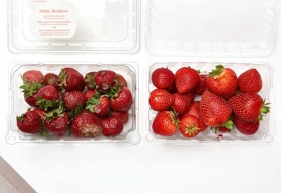 Coupon π Fridge Air Purifier by GreenTech Environmental, LLC β¨ - Image 2