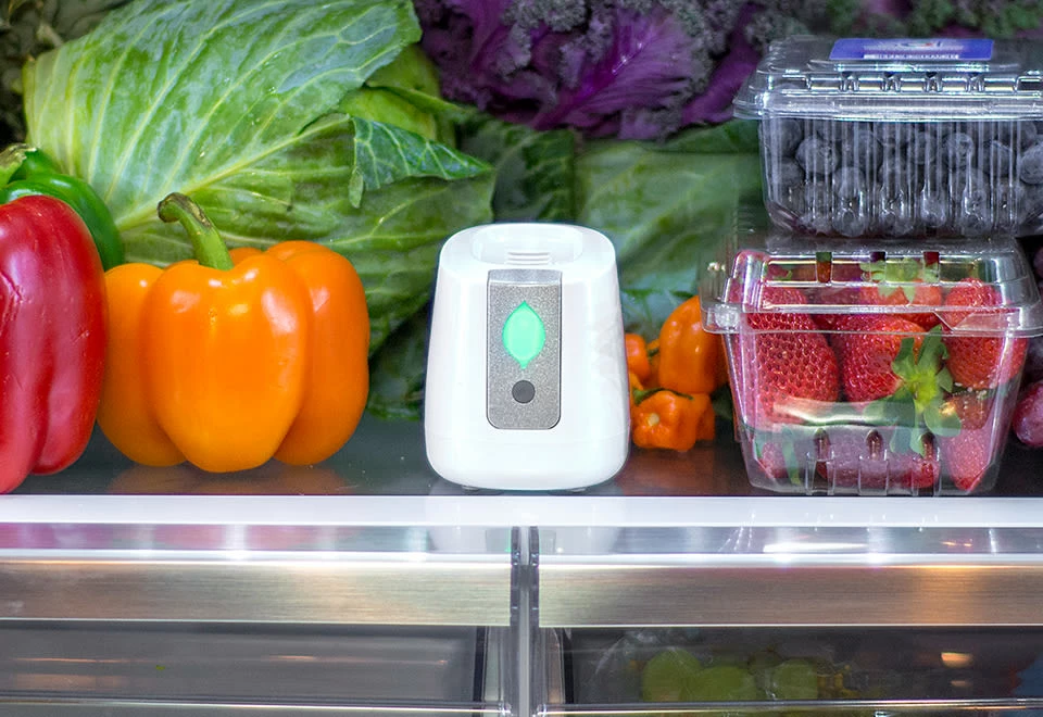 Coupon π Fridge Air Purifier by GreenTech Environmental, LLC β¨ - Image 6