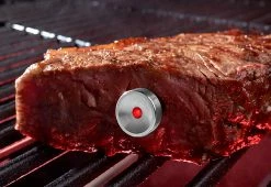 Best reviews of π Intelligent Steak Thermometer by TecPoint USA π§¨