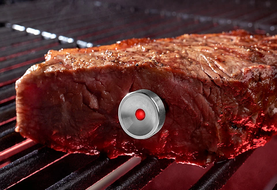 Best reviews of π Intelligent Steak Thermometer by TecPoint USA π§¨