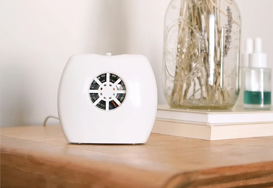 Discount π Negative Ion Generator by IonPacific LLC βοΈ - Image 12