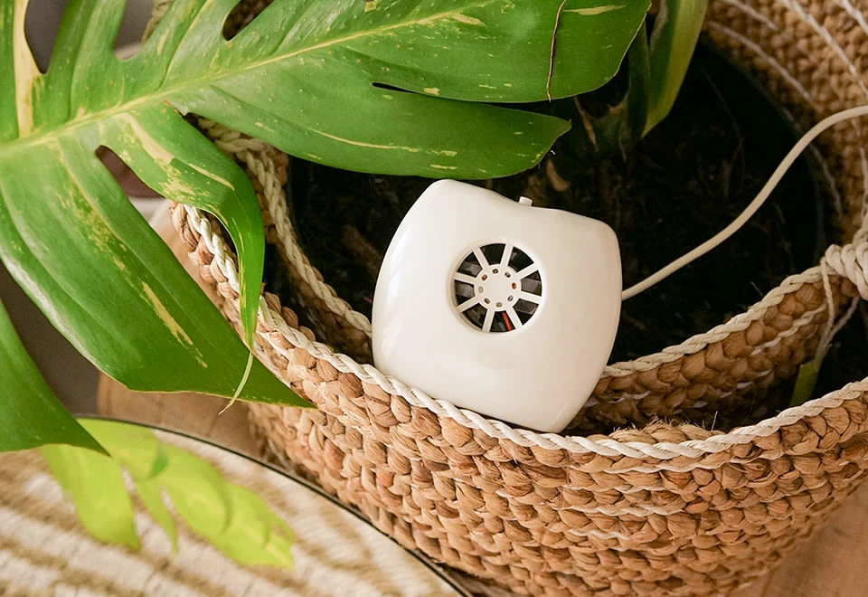 Discount π Negative Ion Generator by IonPacific LLC βοΈ - Image 14