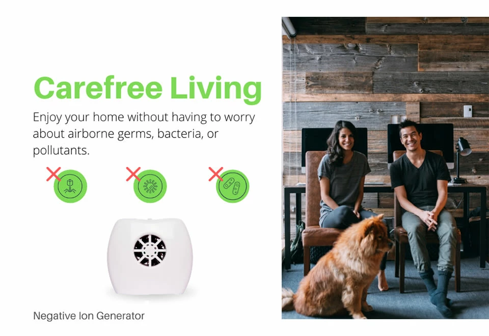 Discount π Negative Ion Generator by IonPacific LLC βοΈ - Image 4