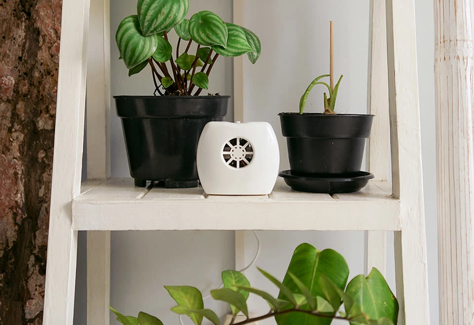 Discount π Negative Ion Generator by IonPacific LLC βοΈ - Image 8