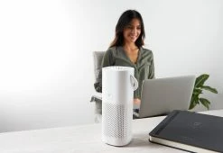 Budget π₯° Mini Portable Air Purifier by Bear Down Brands, LLC βοΈ
