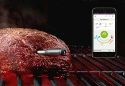 Flash Sale π Wireless Meat Thermometer by Mastrad, Inc. π