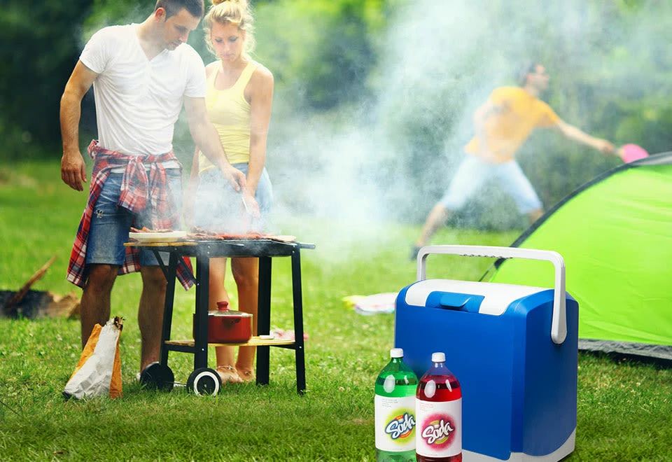 Buy π€© Portable Fridge and Food Warmer by Wagan Corporation π― - Image 3